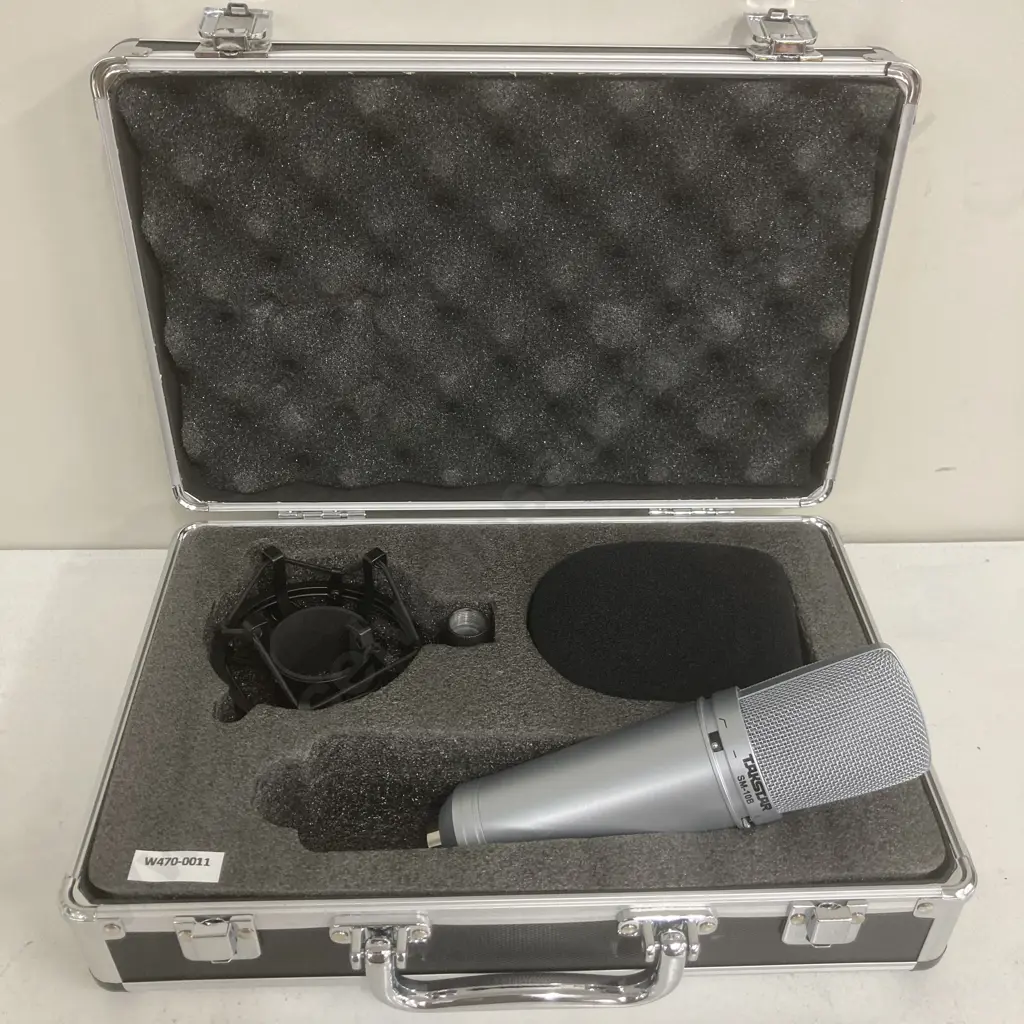 Takstar SM-10B Side-address Professional Wired Condenser Microphone - Recording, For On-stage Performance, Computer Image 1++