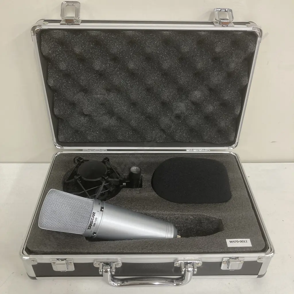 Takstar SM-10B Side-address Professional Wired Condenser Microphone - Recording, For On-stage Performance, Computer Image 1++
