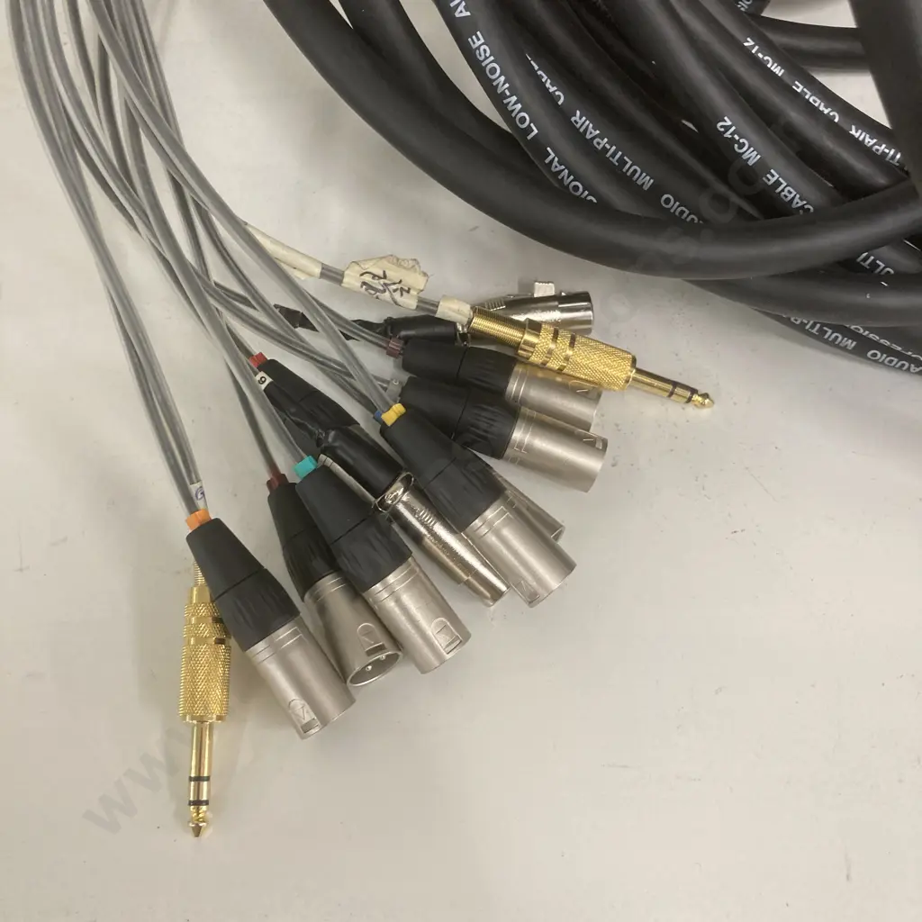 12+12 20m Audio Snake With Fan-out, (Professional Low-Noise Audio Multi-Pair Cable MC-12) Image 1++