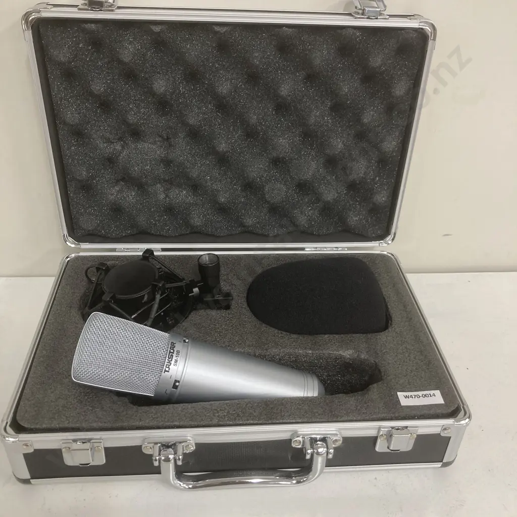 Takstar SM-10B Side-address Professional Wired Condenser Microphone - Recording, For On-stage Performance, Computer Image 1++