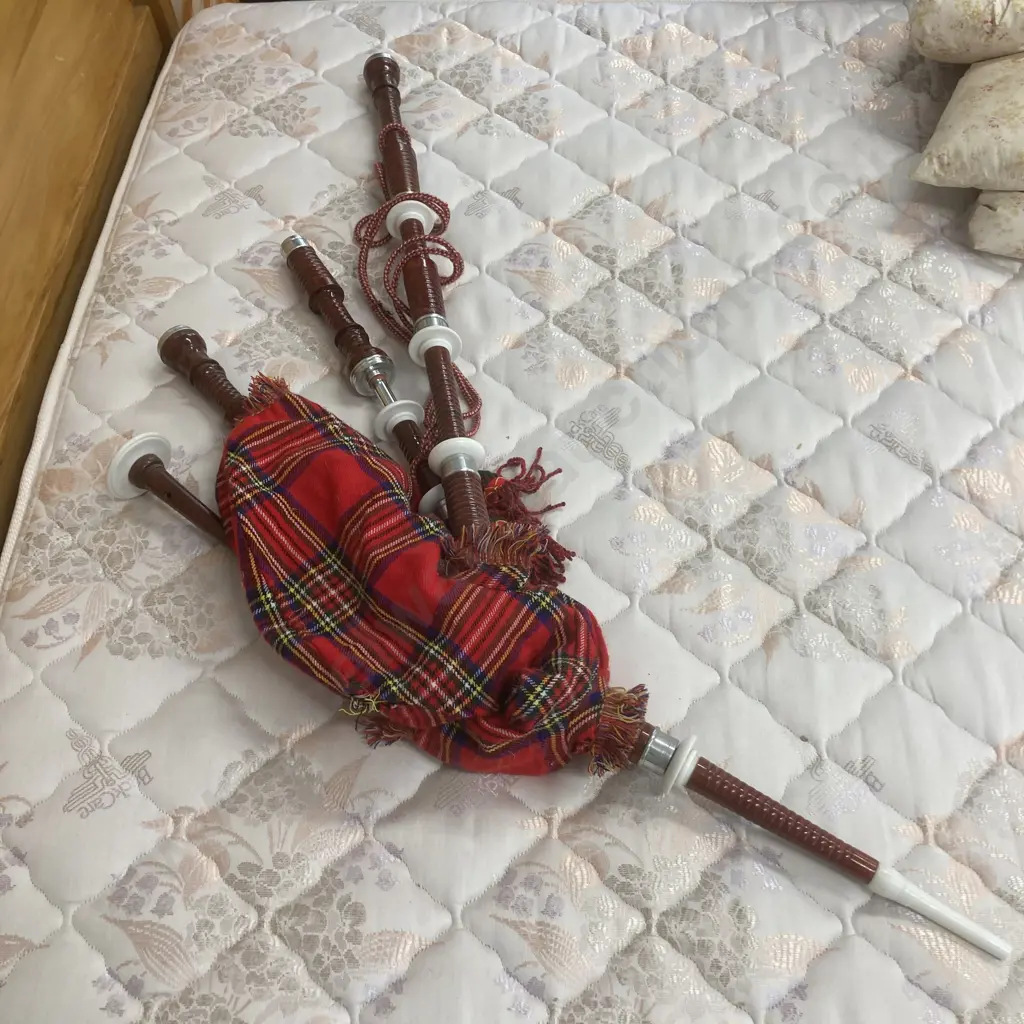 Bagpipes (As Found Condition) Image 1++
