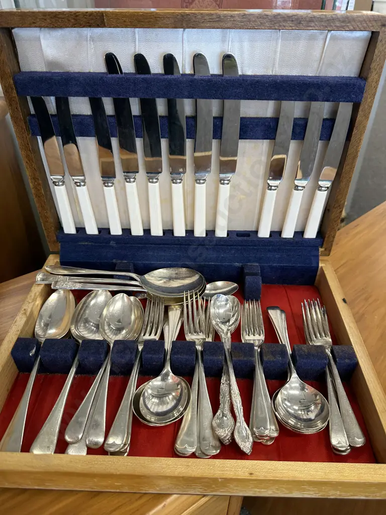 Assorted Cutlery In Canteen Including Rodd Bone Handled Knives, Serving Spoons Etc Image 1++