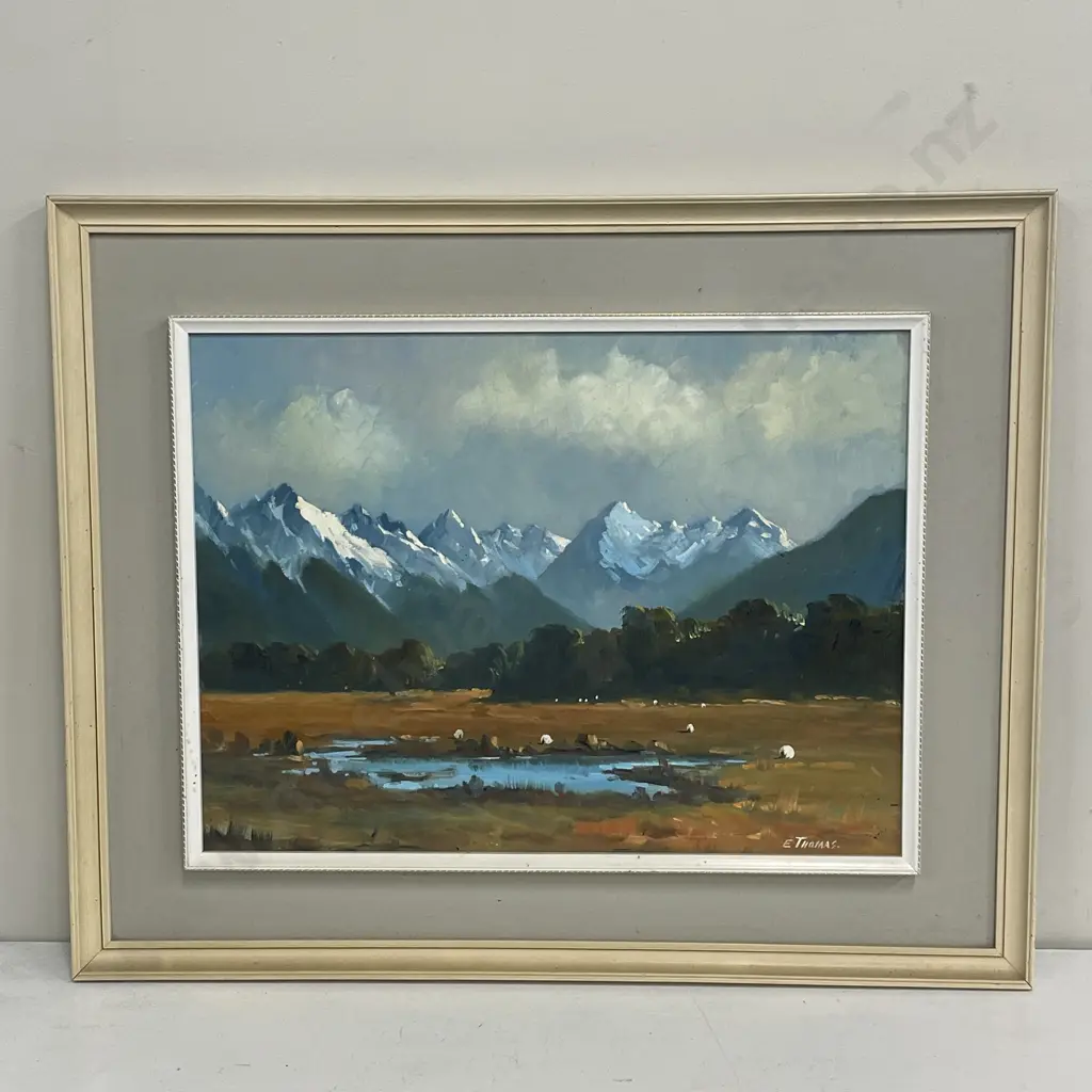 Framed Original Oil Painting titled "Deer Flat" Eglinton Valley 1989. Signed E. Thomas. 55 x 45cm Image 1++