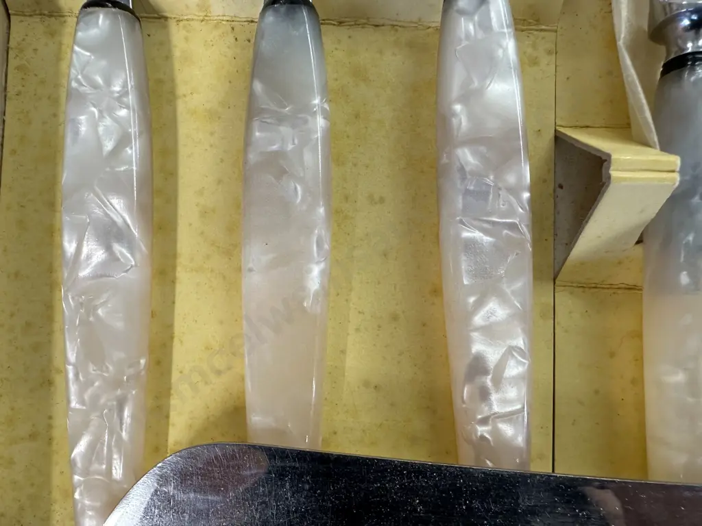 Sheffield ELOQUENCE Cutlery With Imitation Pearl Handles Image 1++