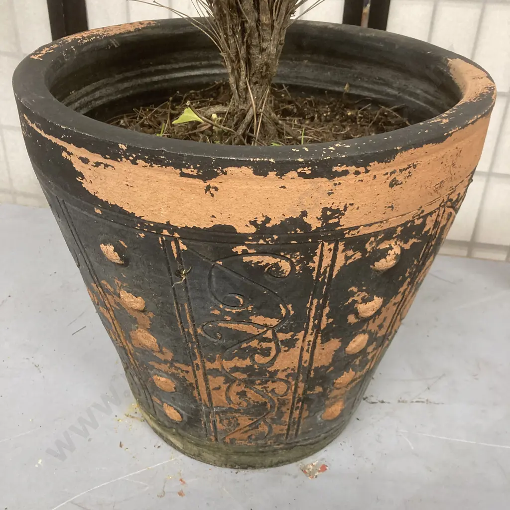 Vintage Ornate Terracotta Garden Pot Painted Black, 36 x 39cm Image 1++