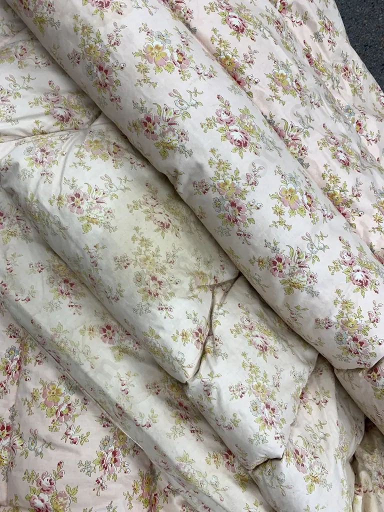 Pair of Single Vintage Feather Eiderdowns Image 1++