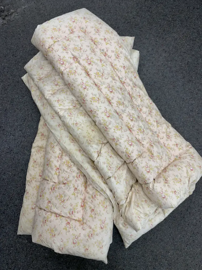 Pair of Single Vintage Feather Eiderdowns Image 1++
