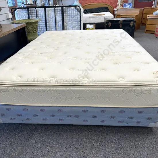 Queen Size Bed Base With Organic Cotton Intrique Firm Mattress & Protector (as found condition)