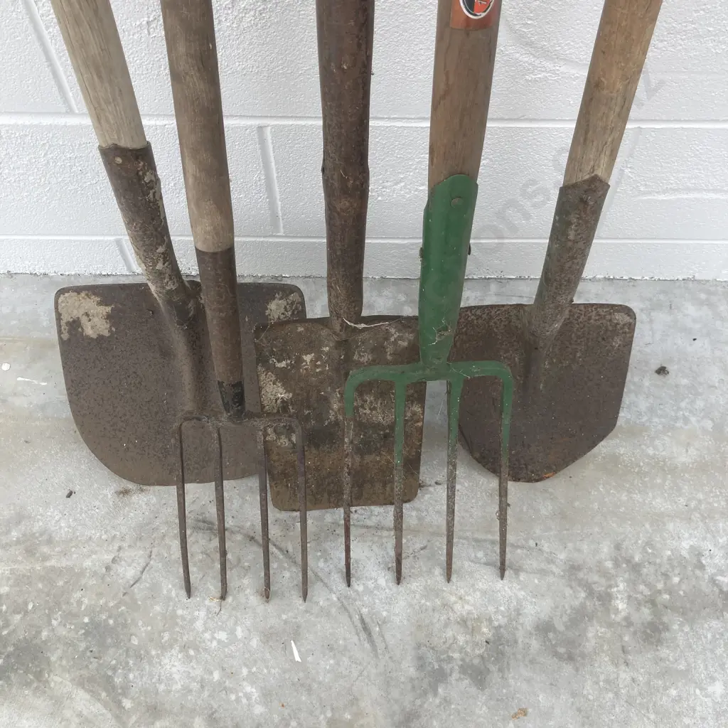 Lot of 2 Shovels, Spade, 2 Forks Image 1++