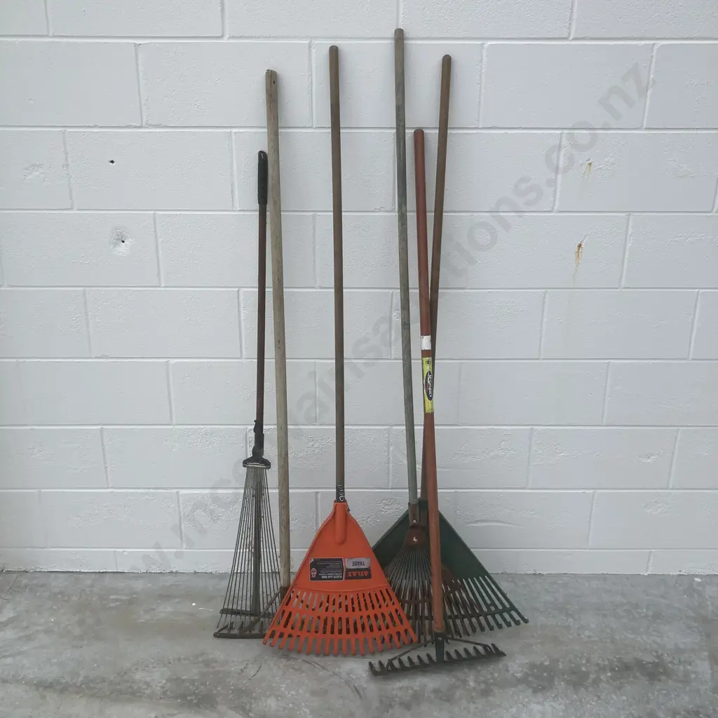 Lot of 6 Rakes Image 1++