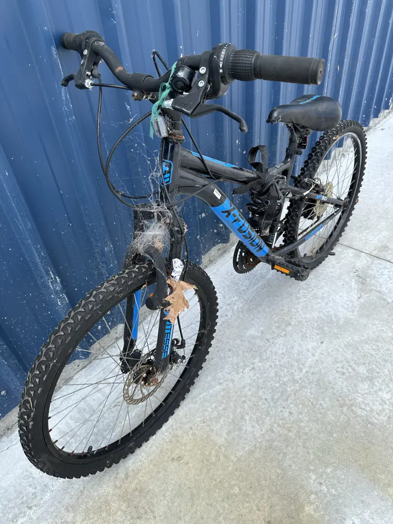 Blue & Black Fusion Bike Image 1++