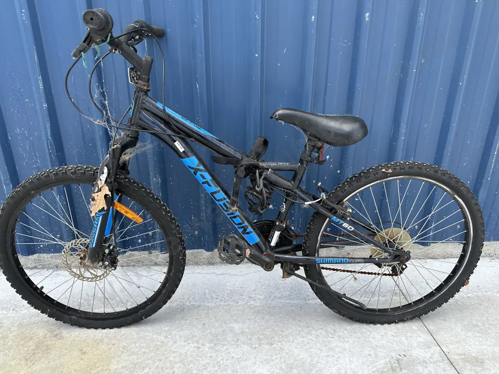 Blue & Black Fusion Bike Image 1++