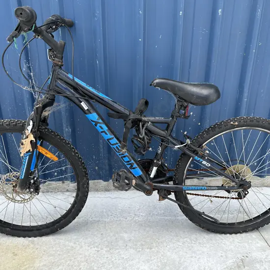 Blue & Black Fusion Bike