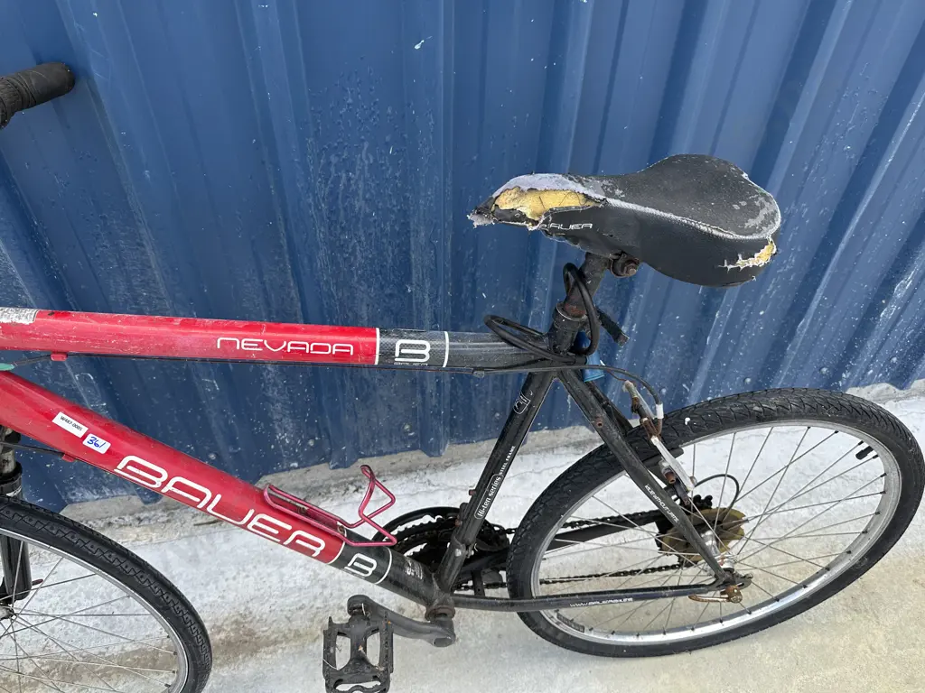 Red Nevada Bauer Bike, Hi-Ten Series Sz XL Image 1++