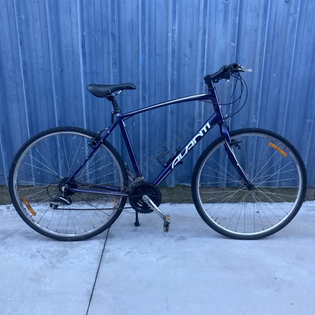 Avanti Blade Bike, 7Spd, Blue / White Image 1++