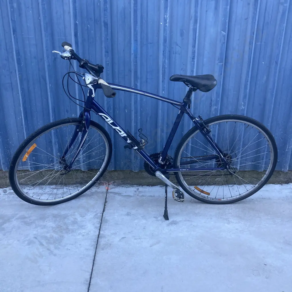 Avanti Blade Bike, 7Spd, Blue / White Image 1++