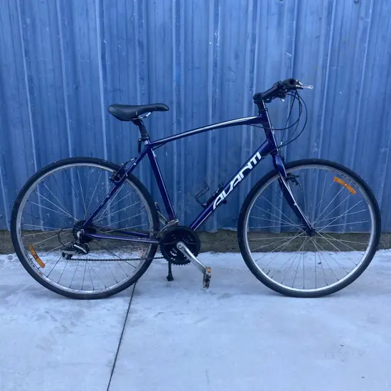 Avanti Blade Bike, 7Spd, Blue / White