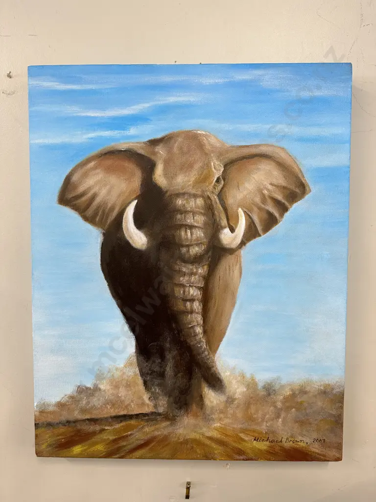 'Elephant' Picture On Canvas, 51 x 40cm Image 1++