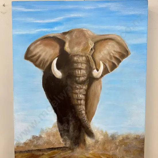 'Elephant' Picture On Canvas, 51 x 40cm