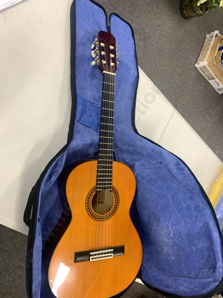 Aria Guitar & Warwick 'Rock Bag' Case Image 1++
