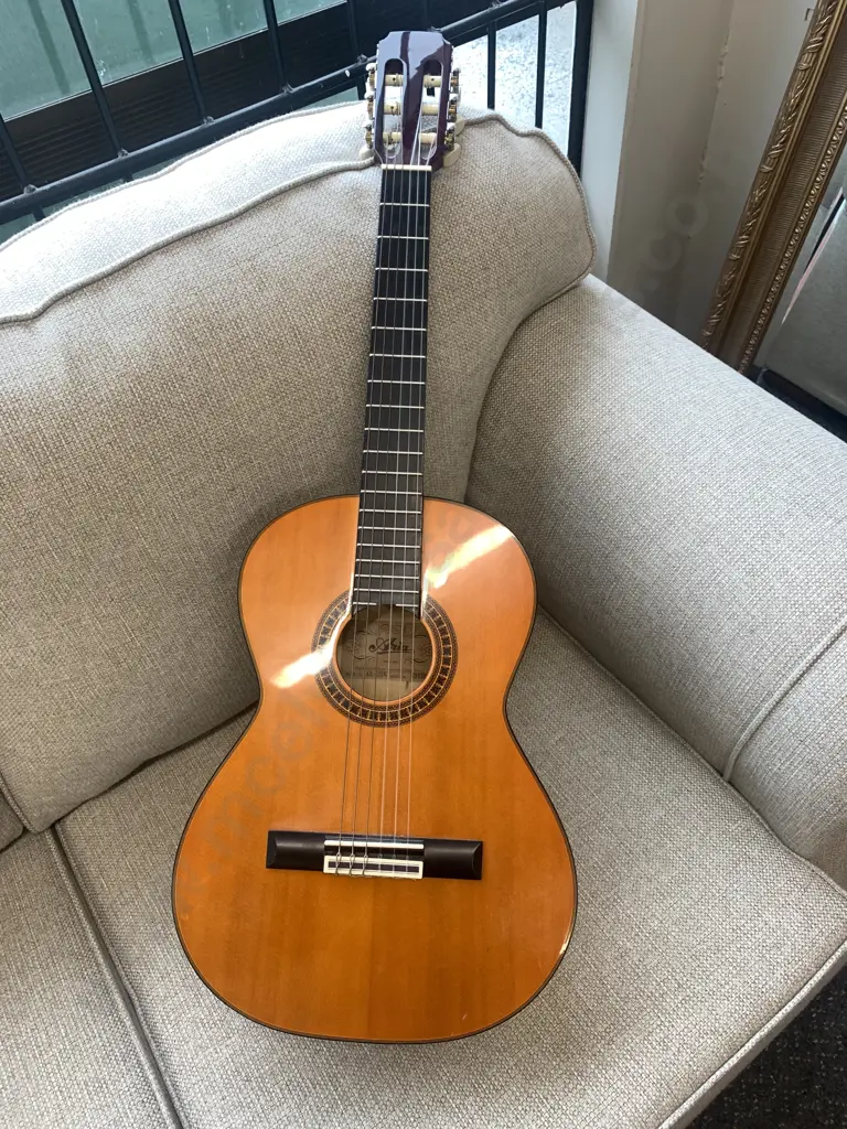 Aria Guitar & Warwick 'Rock Bag' Case Image 1++