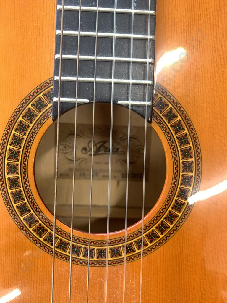 Aria Guitar & Warwick 'Rock Bag' Case Image 1++
