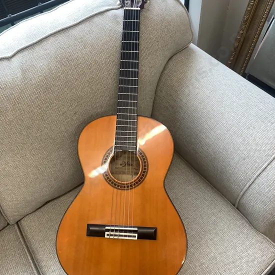 Aria Guitar & Warwick 'Rock Bag' Case