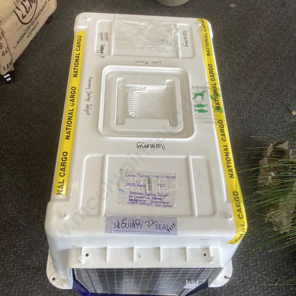 Large Dog Transport Crate, H75 W94 D62cm Image 1++