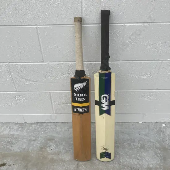 Gunn&Moore Hit4Six & Silver Fern Striker Cricket Bats