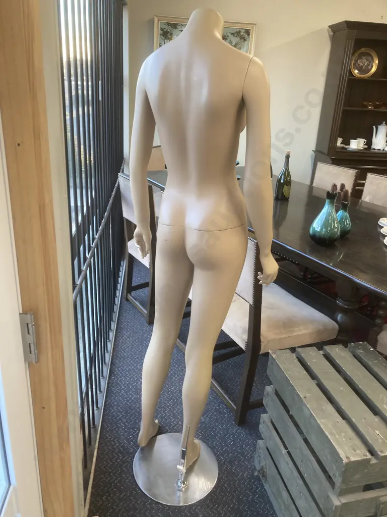 Female Mannequin On Stand, H165cm Image 1++