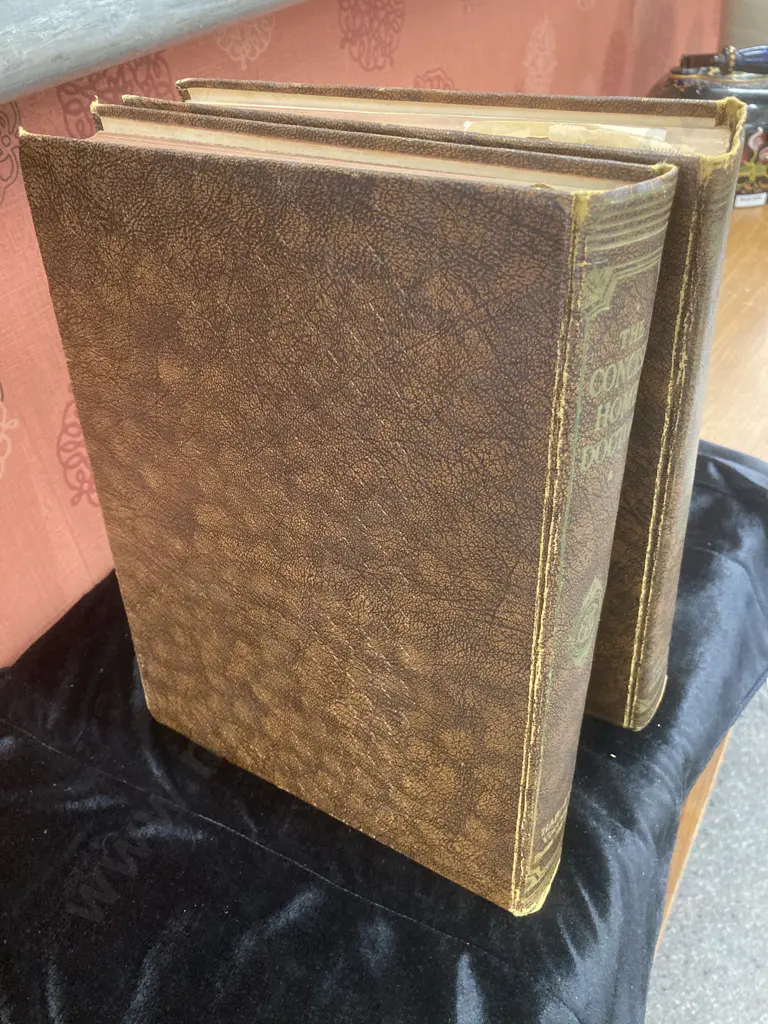 Vintage The Concise Home Doctor Volumes 1 And 2 Image 1++