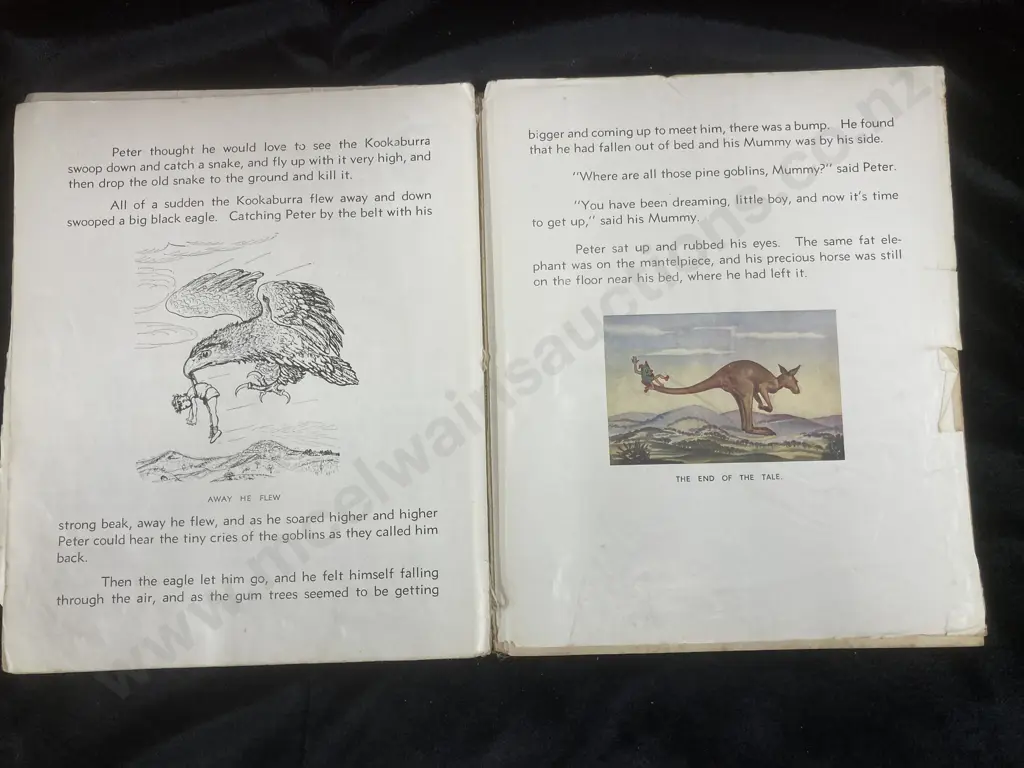 1945 First Edition BLUE PETER by D.L. Thwaites, Vintage Australian Image 1++