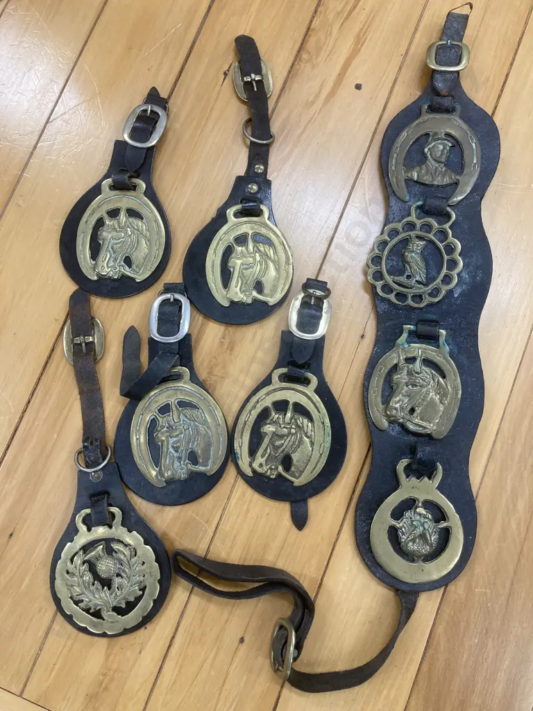 Selection Of Nine Horse Brasses On Six Leather Martingales Image 1++