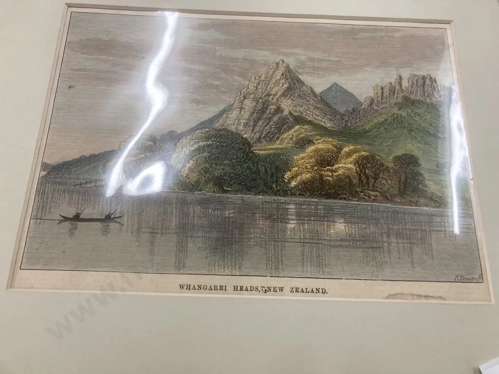 Selection of Vintage Prints & Photographs, Old New Zealand & Birds Image 1++