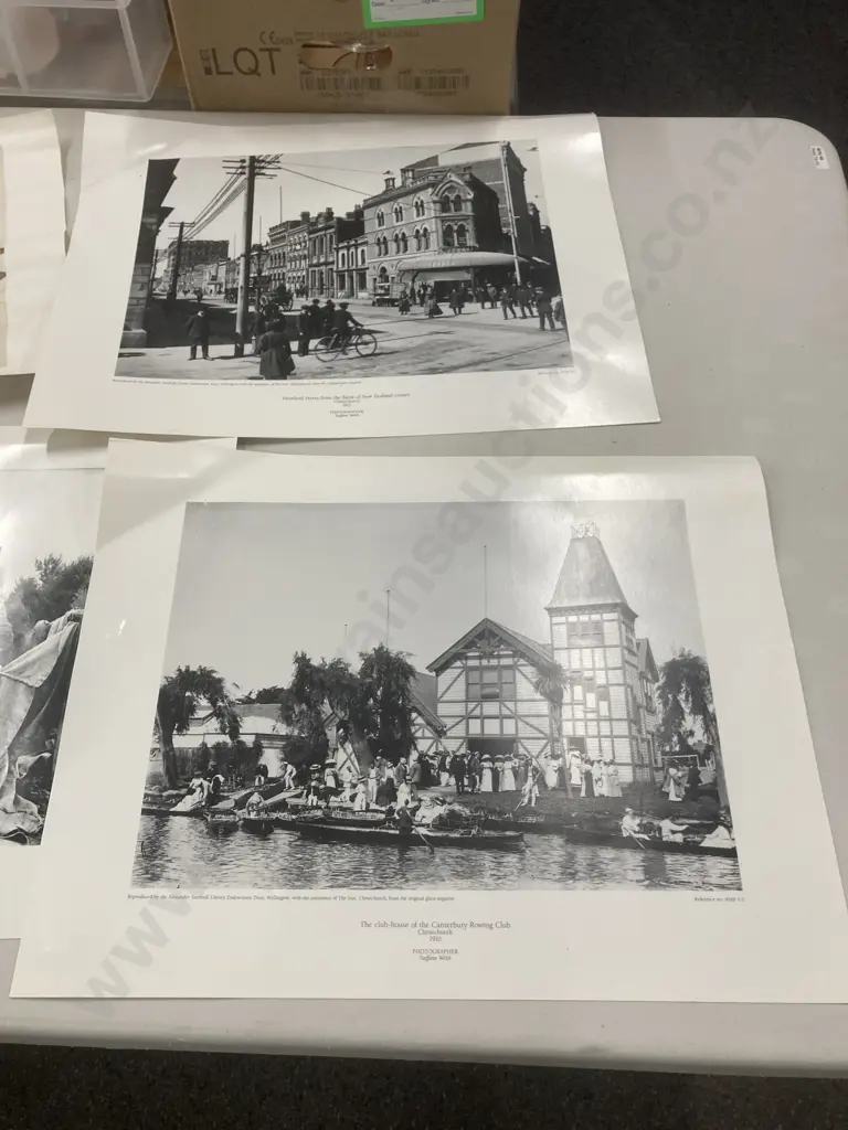 Selection of Vintage Prints & Photographs, Old New Zealand & Birds Image 1++