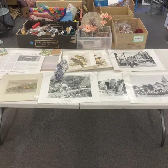 Selection of Vintage Prints & Photographs, Old New Zealand & Birds