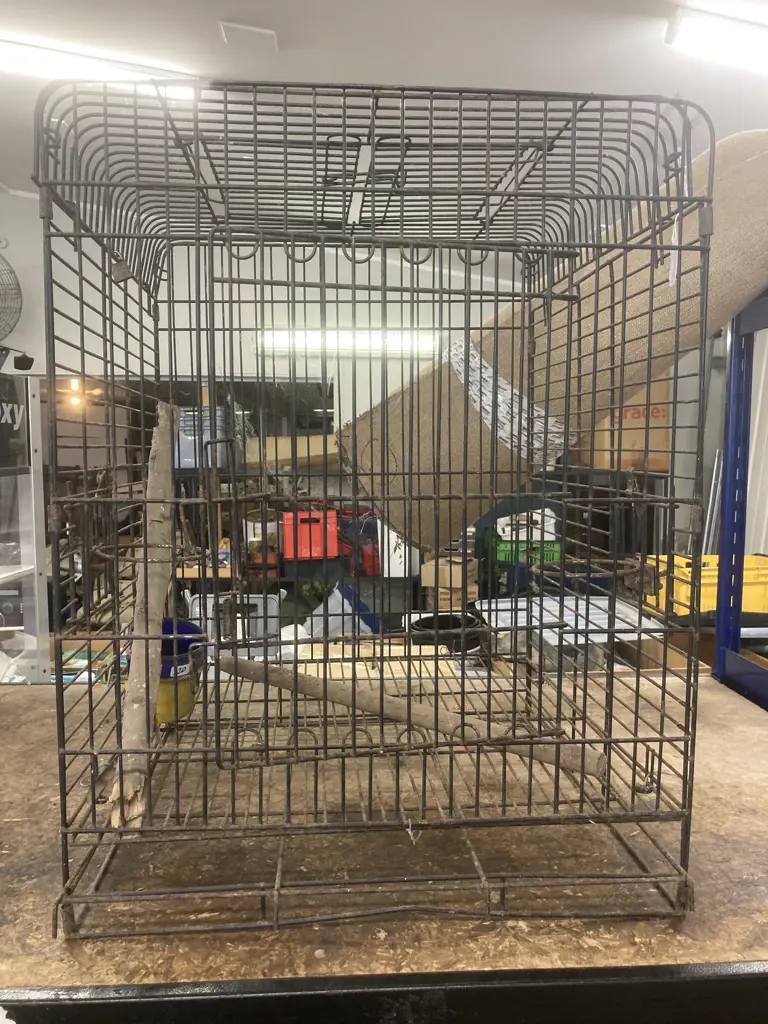 Parrot Cage H72cm, 57x58cm. Image 1++