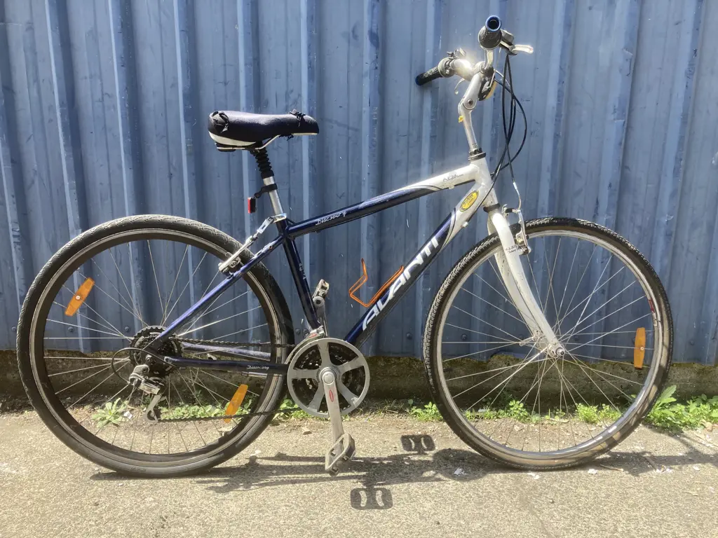 Avanti Discovery Pushbike, Blue & White Image 1++