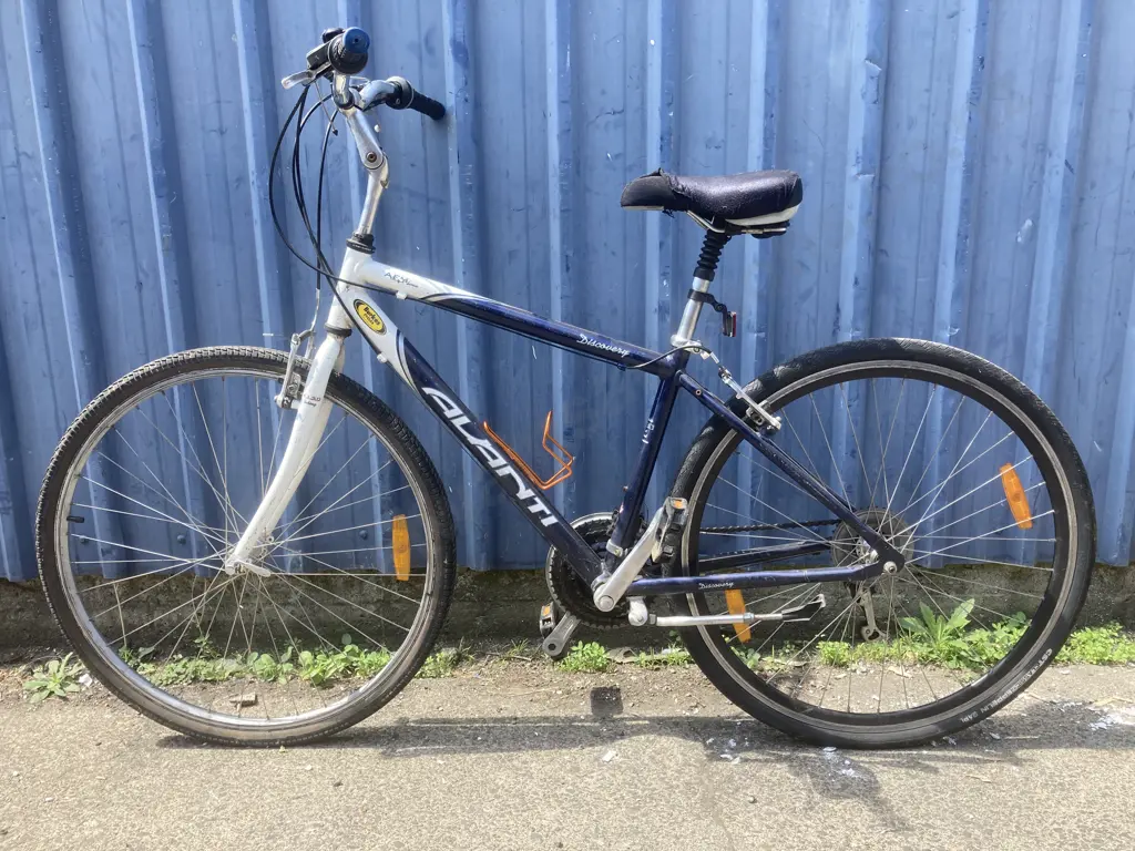 Avanti Discovery Pushbike, Blue & White Image 1++