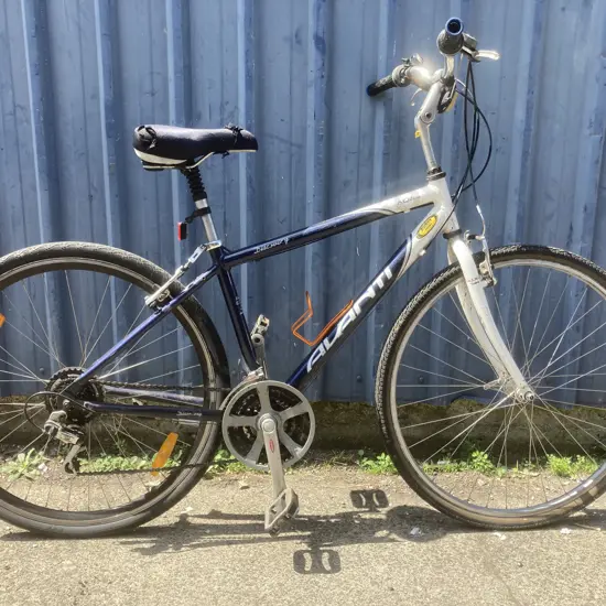 Avanti Discovery Pushbike, Blue & White