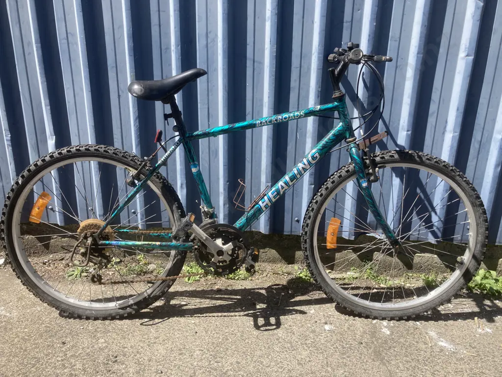 Healing Backroads Shimano Pushbike, Green & Black Image 1++