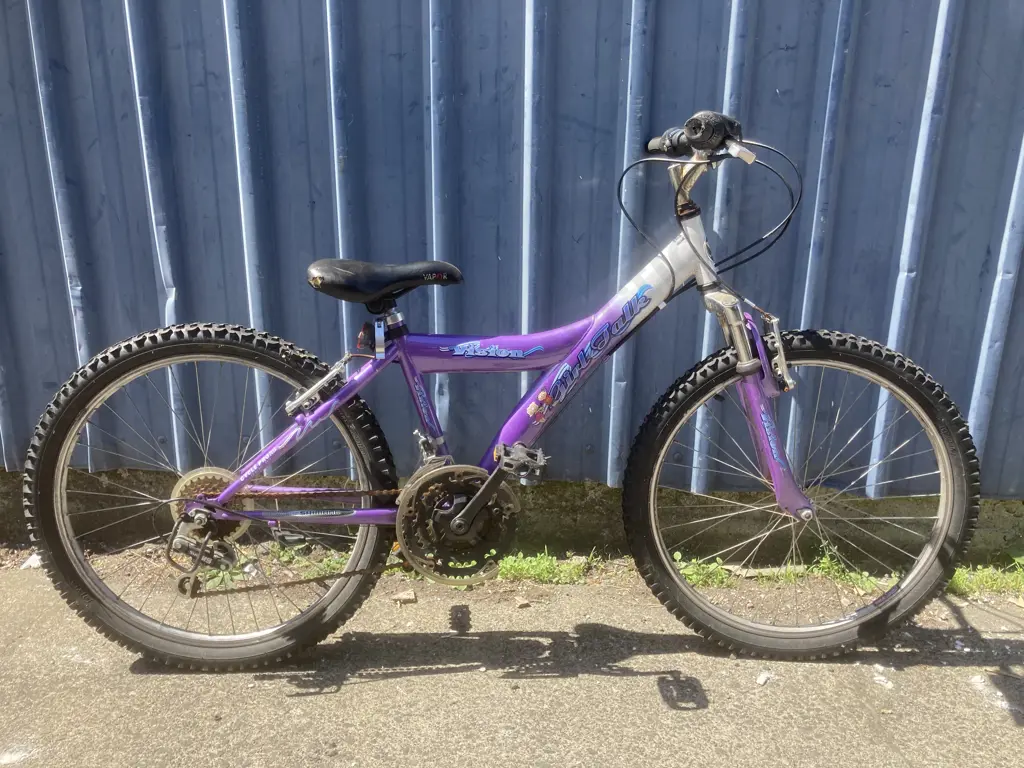 Purple & White Girl Talk Vision Kids Pushbike Image 1++