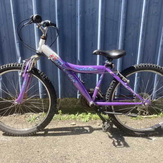 Purple & White Girl Talk Vision Kids Pushbike