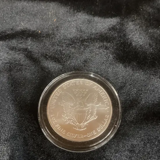 2004 $1 American Silver Eagle In Coin Case