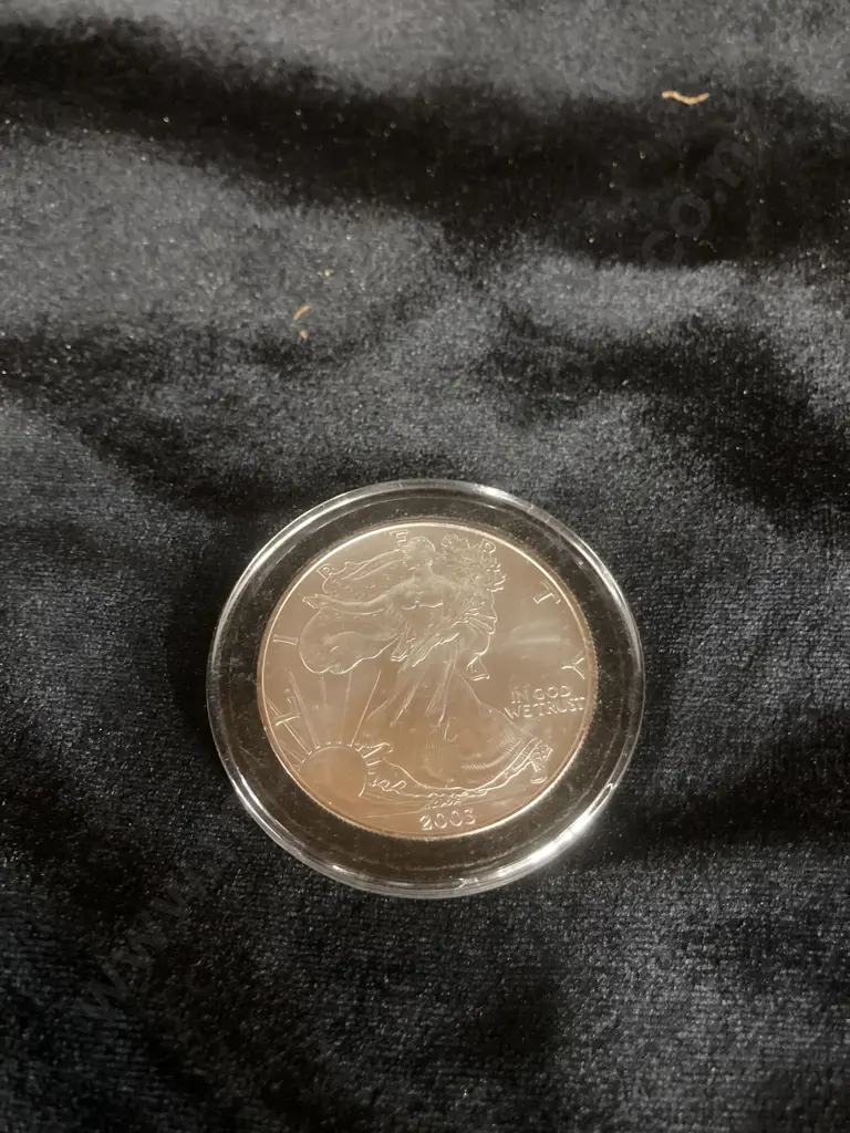2003 $1 American Silver Eagle In Coin Case Image 1++