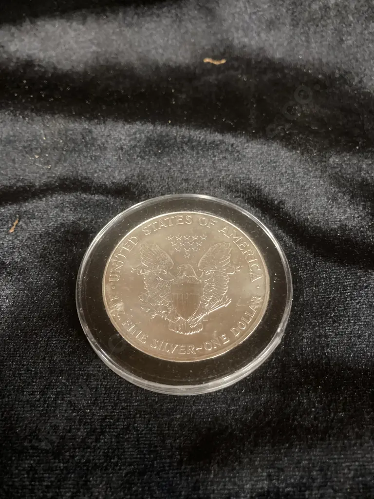 2000 $1 American Silver Eagle In Coin Case Image 1++