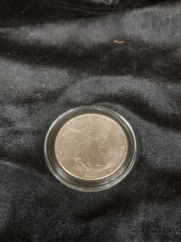 2000 $1 American Silver Eagle In Coin Case Image 1++