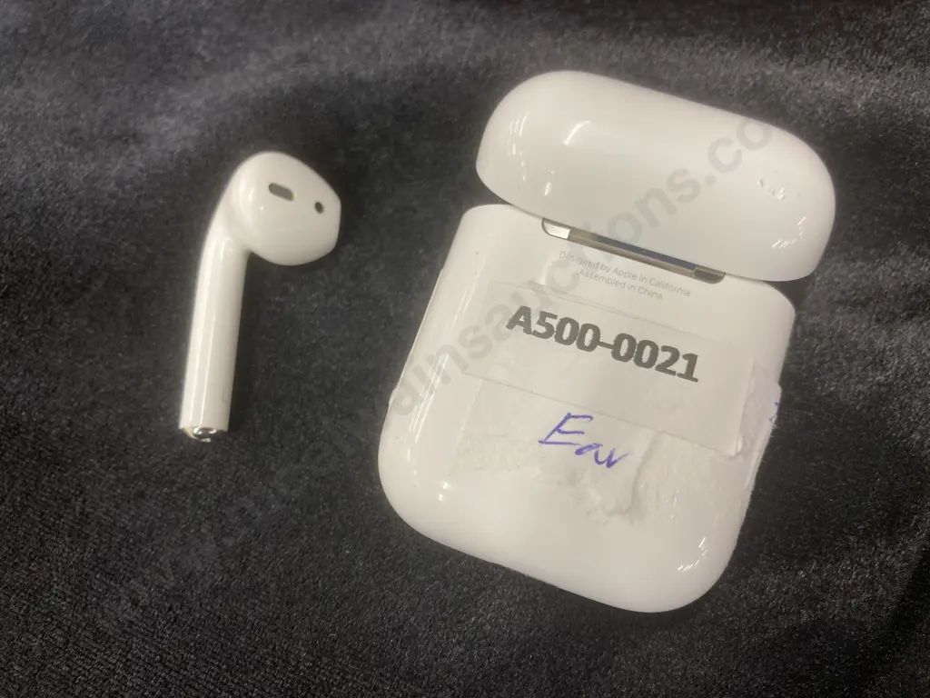 Single Apple Air Bud In Case Image 1++