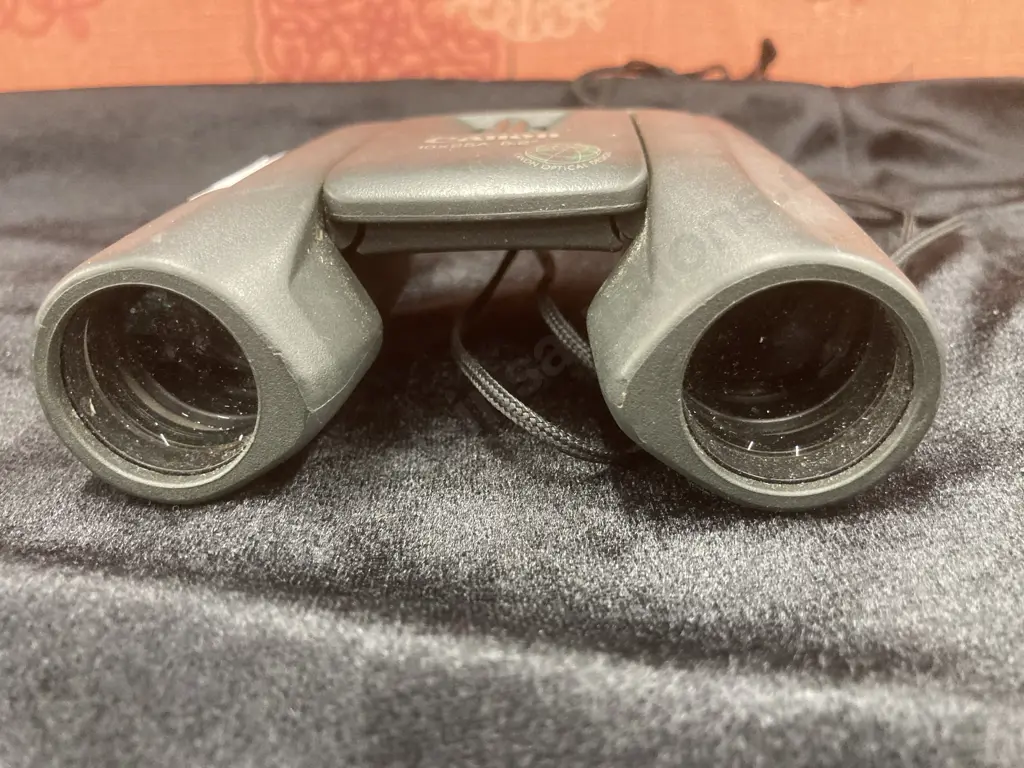Canon 10x25A Binoculars Image 1++