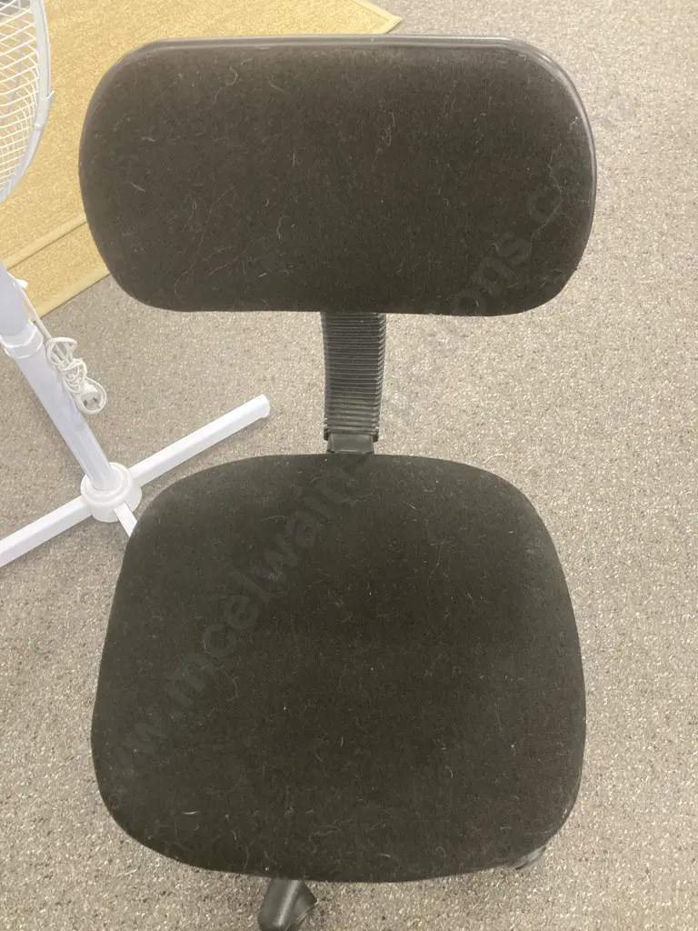 Black Gaslift Desk Chair & White Pedestal Fan Image 1++